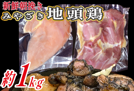 【宮崎ブランド地鶏】朝挽き ”みやざき地頭鶏” もも・むねおためしセット 約1kg（国産 鶏 鶏肉 地頭鶏 モモ ムネ 焼肉 BBQ） 国産鶏肉 鶏肉もも 鶏肉モモ 鶏肉むね 鶏むね