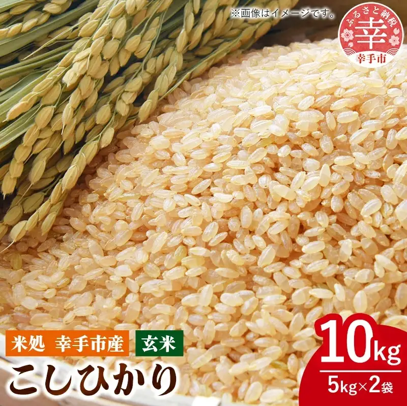 令和7年幸手産 こしひかり【玄米】5㎏×2袋 - コシヒカリ 玄米 10kg 令和7年産 埼玉県 幸手市 幸手市産