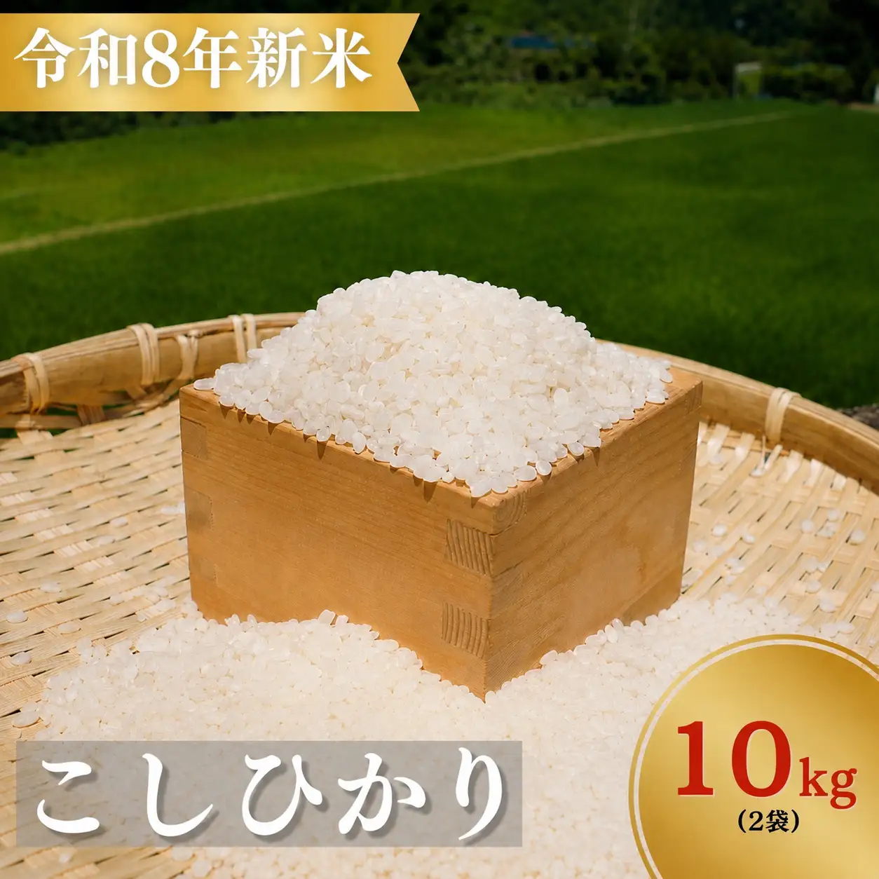 【令和8年新米】熊野市育生町 お米 10kg 【ligh0013A】