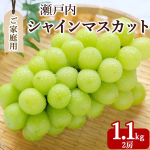 シャインマスカット2房(約1.1kg)家庭用