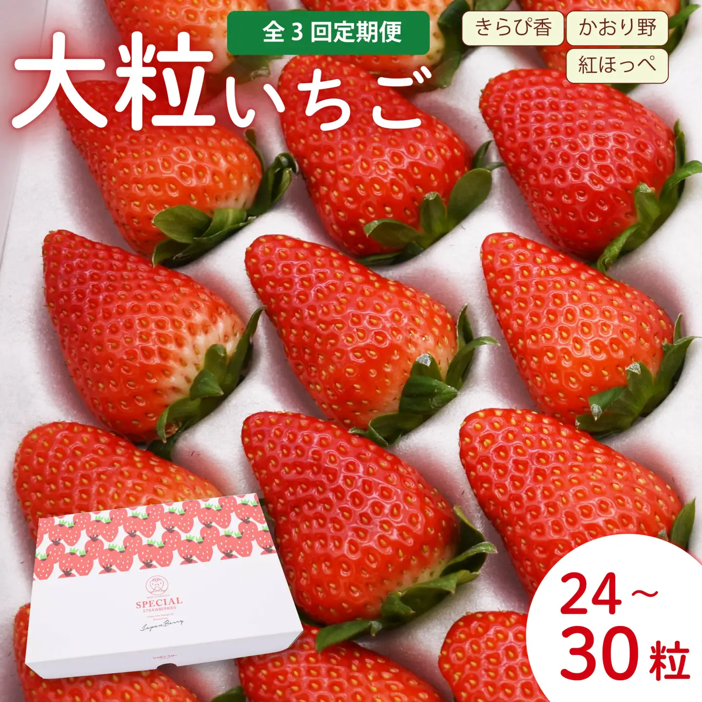 いちご 2027 1月~3月発送 定期便 大粒 24~30粒 いちご