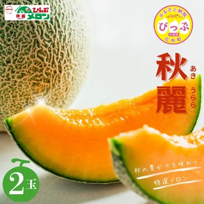 【2026年9月上旬頃より順次発送】ぴっぷメロン「秋麗（あきうらら）」 2玉【菅原クリーンファーム】メロン めろん 果物 くだもの フルーツ 赤肉 秋 旬 お取り寄せ 北海道 比布町 ぴっぷ 1020-002