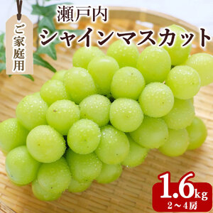 シャインマスカット2～4房(約1.6kg)家庭用 11,900円