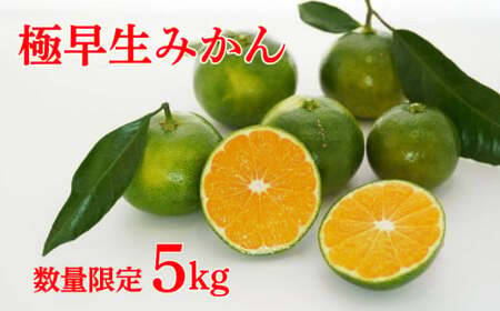 【家庭用】水はけのいい畑で育てた 石川さんちの 愛媛みかん （ 極早生 ） 5kg 【発送時期：9月下旬～なくなり次第】 みかん ミカン 蜜柑 柑橘 フルーツ 果物 温州  国産 ミックス 不揃い 傷 ビタミン 美味しい 愛媛県 愛南町 石川良子 みかん 極早生 みかん 極早生 みかん 極早生 みかん 極早生 みかん 極早生 みかん 極早生 みかん 極早生 みかん 極早生 みかん 極早生 みかん 極早生 みかん 極早生 みかん 極早生 みかん 極早生 みかん 極早生 みかん 極早生 みかん 極早生 みかん 極早生 みかん 極早生 みかん 極早生 みかん 極早生