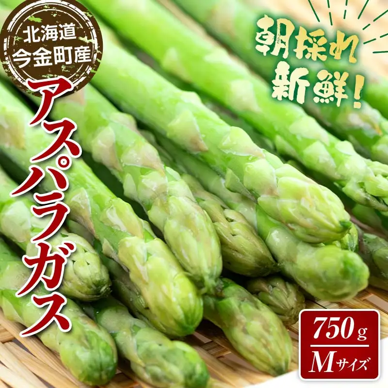 【先行予約】朝採れ新鮮アスパラ 750g （Mサイズ） (2027年3月下旬~6月中旬または2027年7月上旬~9月上旬発送) 野菜 秀品 北海道産 バーベキュー BBQ キャンプ 旬野菜 アスパラガス 栄養満点 冷蔵発送 F21X-457