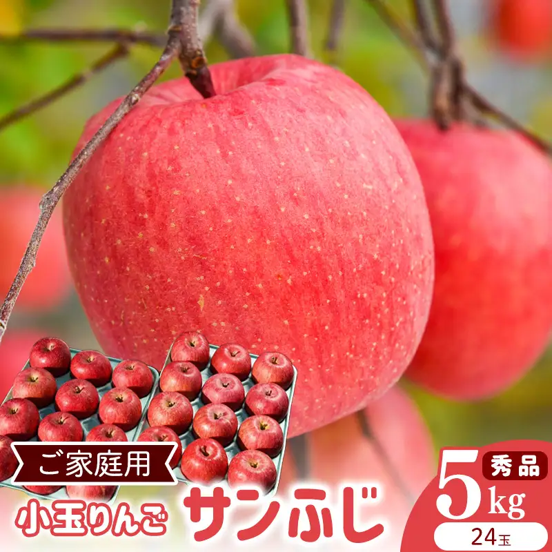 令和8年産 《ご家庭用》小玉 りんご サンふじ 秀品 5kg（24玉） 2026年産 山形県産【2026年12月上旬頃から下旬頃発送予定】　014-B-HK008