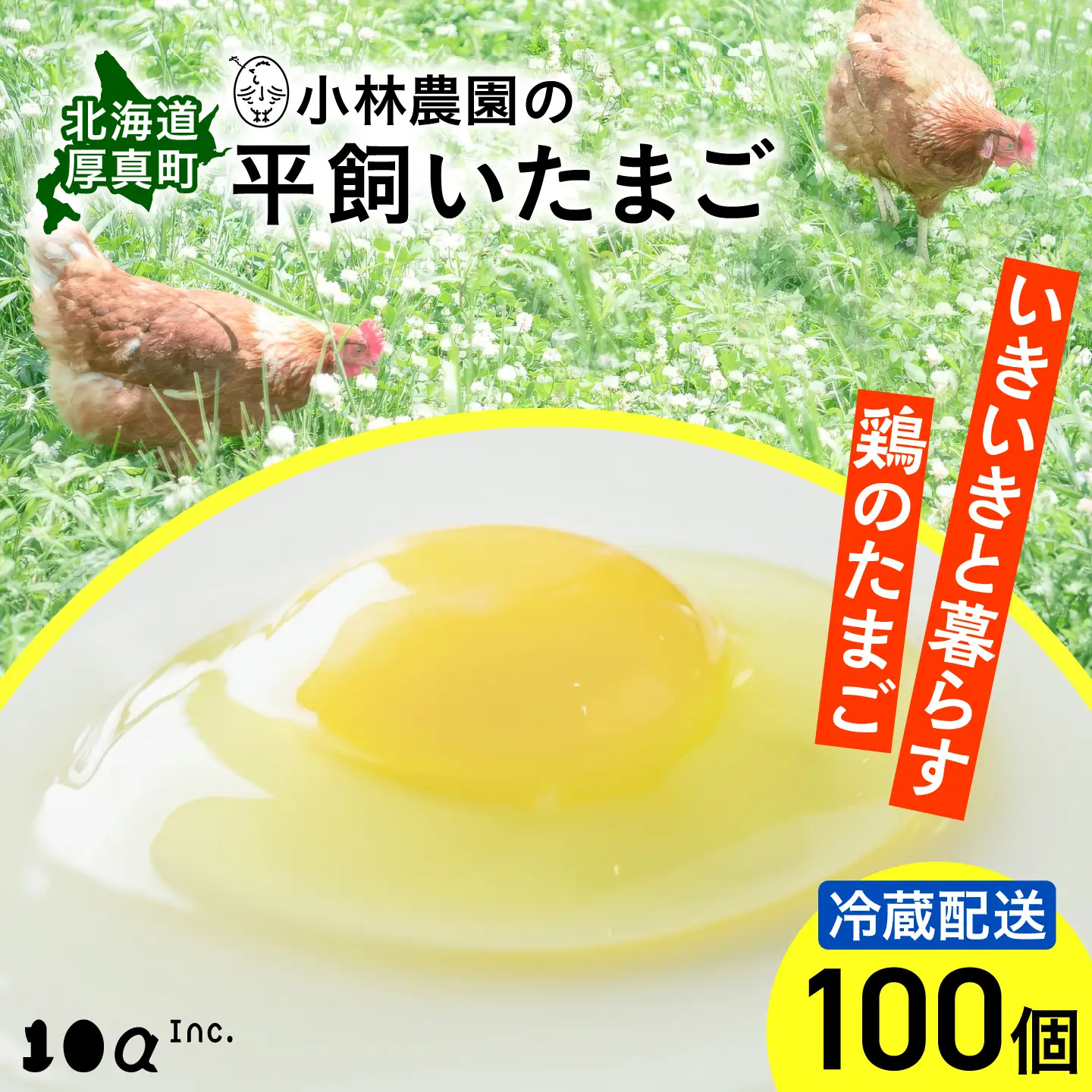 無投薬･平飼い たまご 100個 冷蔵 [AXAN035]