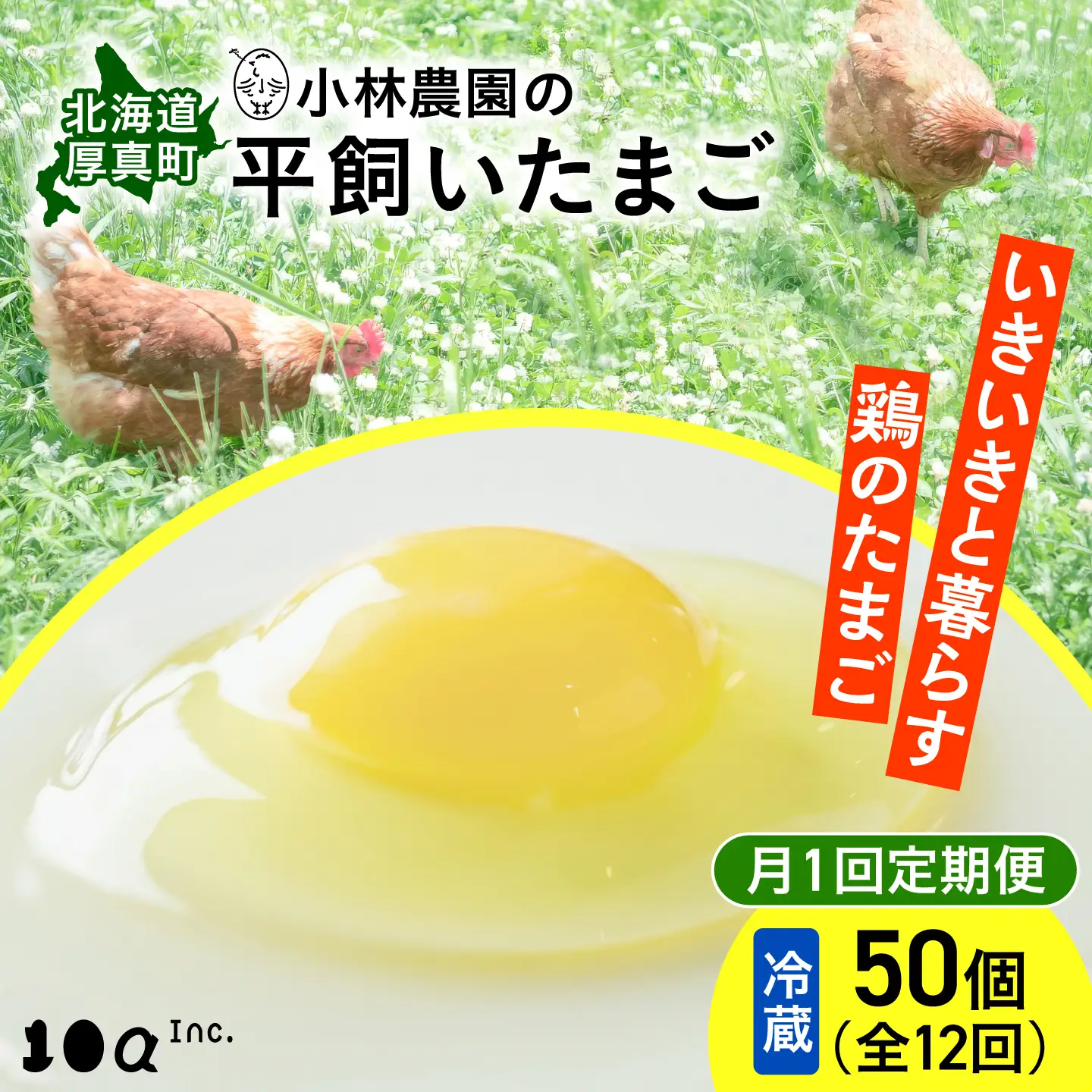 卵 定期便 12ヵ月 50個 計600個 平飼い たまご [AXAN003] 卵