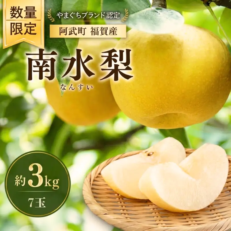 梨 福賀の南水梨 約3kg 7玉 山口県阿武町産 高糖度 シャキシャキ食感 数量限定 【2026年9月20日頃～順次発送】