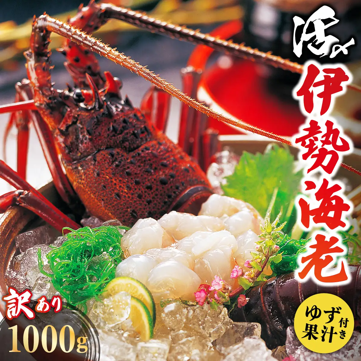 訳あり 活〆伊勢海老 1000g(2～5尾)