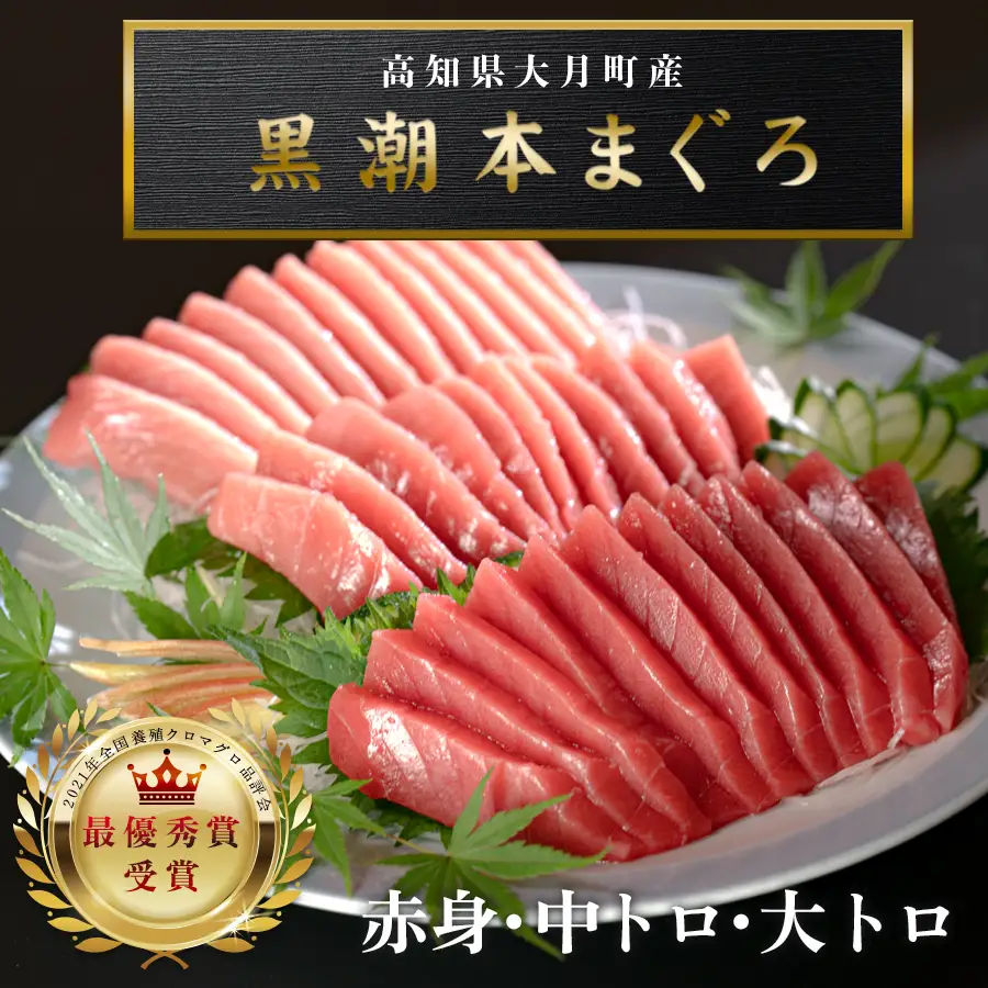 訳あり 不定貫 黒潮本まぐろ3種セット (PT0091_0367)