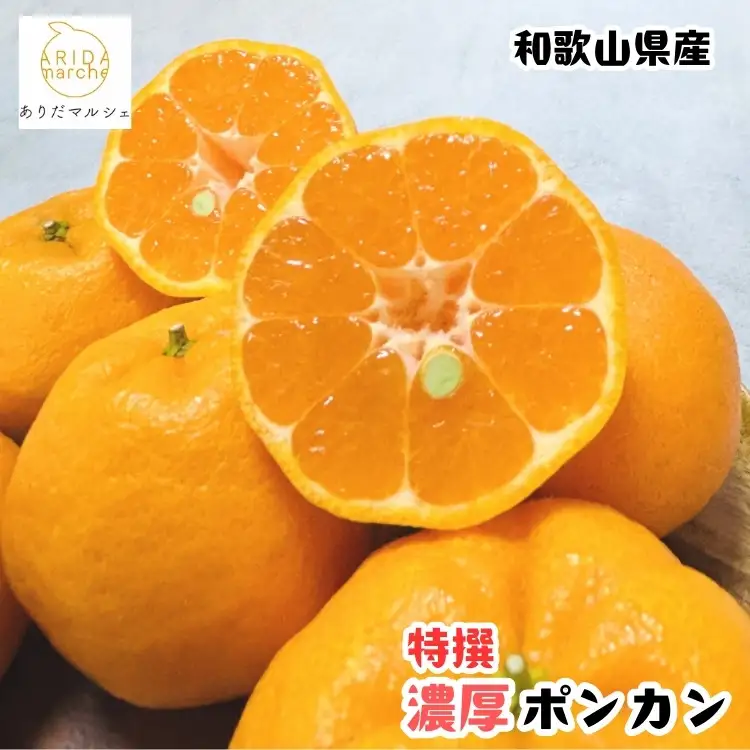 ［先行予約］極甘 柑橘 特選 濃厚 ポンカン 1.5kg［MS48］
