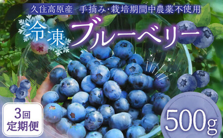 【3回 定期便】久住高原 冷凍 ブルーベリー 500g 計1.5kg 栽培期間中農薬不使用 手摘み 【2025年7月下旬より順次発送開始予定】