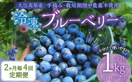 【2ヶ月毎4回 定期便】久住高原 手摘みブルーベリー 冷凍 500g 2袋 計4kg 小分け 栽培期間中農薬不使用 【2025年7月下旬より順次発送開始予定】