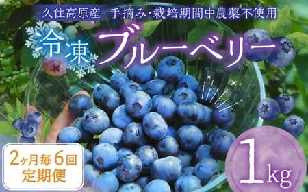 【2ヶ月毎6回定期便】大分県久住高原産 『手摘みブルーベリー』 冷凍ブルーベリー 1kg 計6kg 【2025年7月下旬より順次発送開始予定】