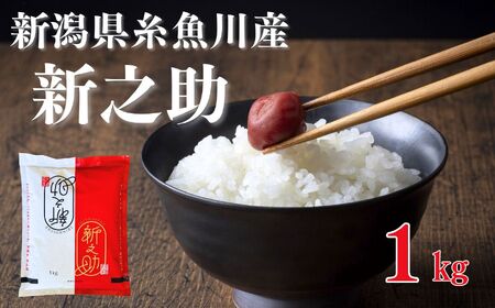 【令和8年産新米予約】新之助 1kg 早川の清流が育んだ美味しいお米 新潟県糸魚川産 2026年 磯貝農場【しんのすけ 米 お米 こめ ご飯 ライス ふるさと納税米 食品 人気 おすすめ お弁当 おにぎり ギフト 新潟県の新しいブランド米 農家直送 1キロ 精米】