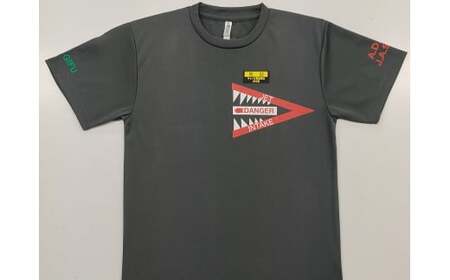 742 F-4EJ改 431号機 Tシャツ（飛行開発実験団 暗灰）