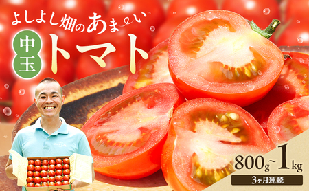 トマト よしよし畑 中玉トマト トマト【800g～1kg】【定期便3ヶ月】