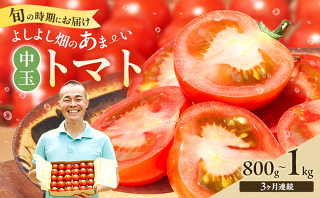 トマト よしよし畑 中玉トマト 最旬お届け トマト【800g～1kg】【定期便3ヶ月】