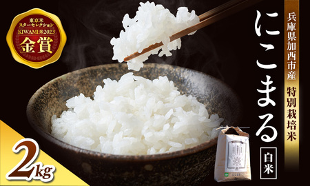 にこまる 特別栽培米 令和7年産 白米 にこまる【2kg】