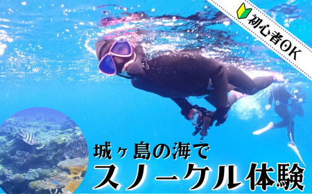 三浦半島城ヶ島の海でスノーケリング M064-008 チケット 体験
