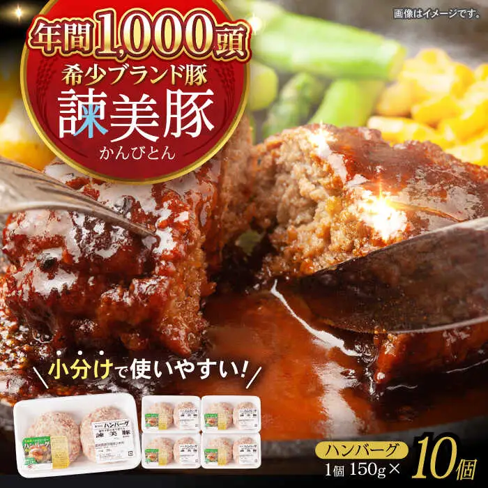 諫美豚ハンバーグ 10個(各150g) 計1.5kg / 豚肉 ハンバーグ はんばーぐ おかず 惣菜 冷凍 / 諫早市 / 土井農場 [AHAD064]