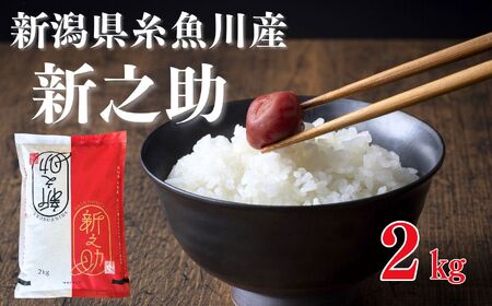 【令和8年産新米予約】新之助 2kg 早川の清流が育んだ美味しいお米 新潟県糸魚川産 2026年 磯貝農場【しんのすけ 米 お米 こめ ご飯 ライス ふるさと納税米 食品 人気 おすすめ お弁当 おにぎり ギフト 新潟県の新しいブランド米 農家直送 2キロ 精米】