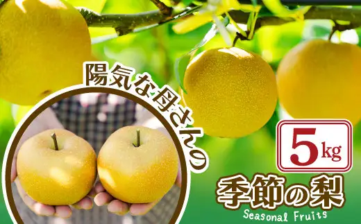 【先行予約】数量限定・期間限定【陽気な母さんの店】Ｒ8年産「旬の梨」又は「季節の梨」（5kg）80P3405【陽気な母さんの店 】