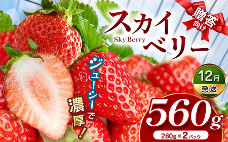 スカイベリー（贈答向け）【12月発送】280ｇ×2ｐ 真岡市 栃木県 送料無料