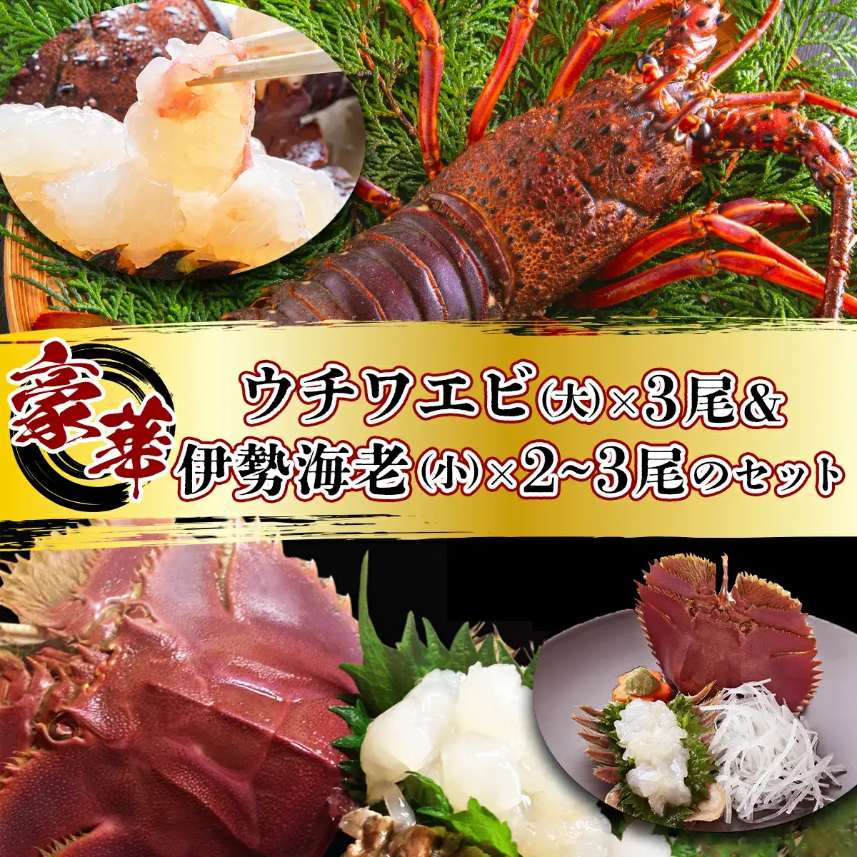 ウチワエビ(大)×3尾＆伊勢海老(小)×2~3尾の豪華セット