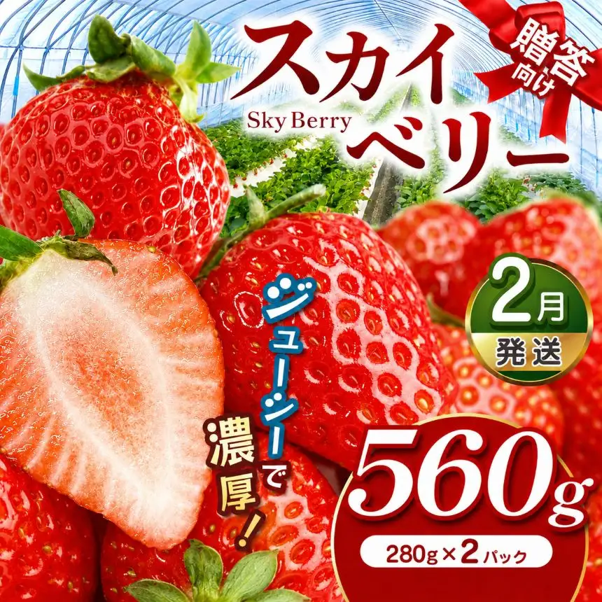スカイベリー（贈答向け）【2月発送】約560g 真岡市 栃木県 送料無料
