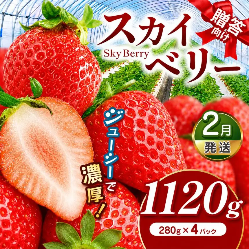 スカイベリー（贈答向け）【2月発送】約1120g 真岡市 栃木県 送料無料
