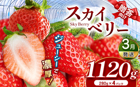 スカイベリー（贈答向け）【3月発送】280ｇ×4p 真岡市 栃木県 送料無料