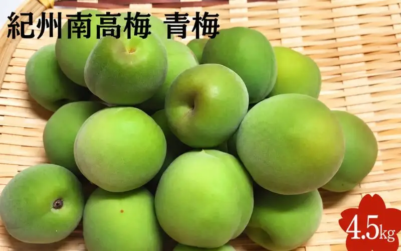 【2027年分先行予約】紀州南高梅　4.5kg（サイズ混合）※2027年5月下旬～順次発送予定 / 田辺市 果物 果実 梅 生梅 梅干し うめぼし 梅酒 梅ジュース 梅シロップ 手作り 自家製 新鮮 【sny002-1】