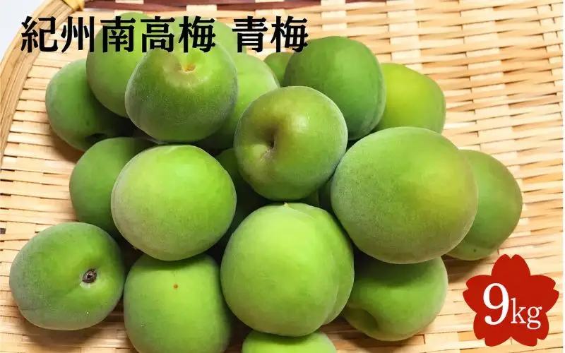 【2027年分先行予約】紀州南高梅　9kg（サイズ混合）※2027年5月下旬～順次発送予定 /  田辺市 果物 果実 梅 生梅 梅干し うめぼし 梅酒 梅ジュース 梅シロップ 手作り 自家製 新鮮  【sny003-1】