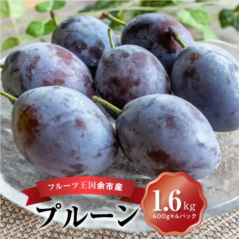 【先行予約：2026年9月上旬以降発送】フルーツ王国余市産「プルーン」 400g×4パック【ニトリ観光果樹園】_Y074-0159