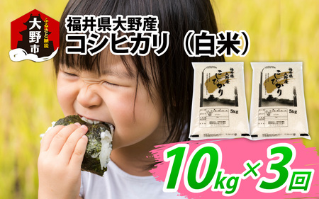 【先行予約】【3ヶ月定期便】【令和8年度産 新米】福井県大野産コシヒカリ（白米）10kg(5kg×2袋)×3回 計30kg [C-094002]