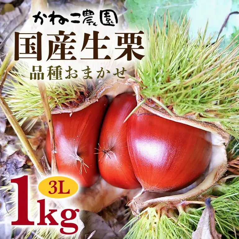 生栗 品種おまかせ 1kg 栗 3L JO-004