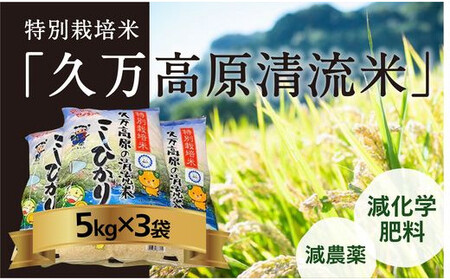 特別栽培米「久万高原清流米」令和6年コシヒカリ(5kg)×3袋セット｜米 お米 白米 ご飯 ごはん 白ご飯 ライス 自然栽培 コシヒカリ こしひかり 食物繊維 米作り 銘柄 贅沢 おすすめ 料理 香り 特別栽培米 減農薬 低化学肥料 品質 美味しい 食生活 健康食品 安心 安全 食卓 食事 ギフト 愛媛 久万高原町