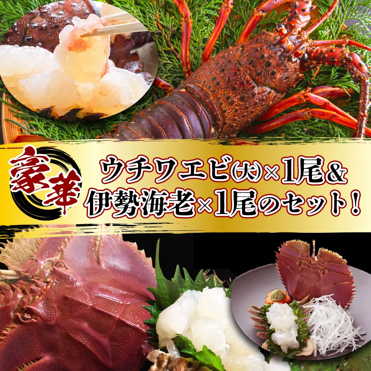 ウチワエビ(大)×1尾＆伊勢海老×1尾の豪華セット
