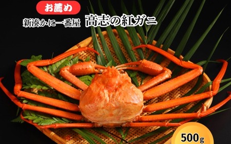 新湊かに一番屋【お薦め】高志の紅ガニ500g | ズワイガニ 紅ずわいがに カニ 蟹 富山県 射水市 ※2026年10月～発送