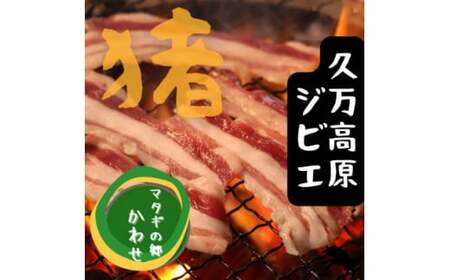 ジビエ「イノシシ肉 部位別食べ比べセット(800g)」｜BBQ アウトドア キャンプ ヘルシー 猪肉 モモ カタ ばら ロース バーベキュー 愛媛 久万高原町 ※離島への配送不可