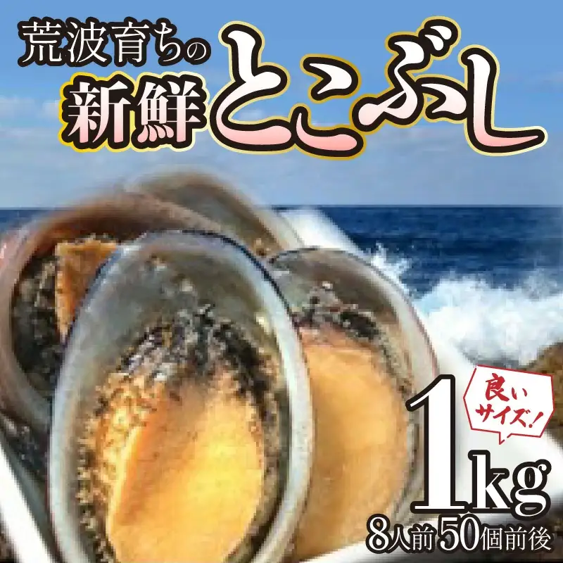 活き〆とこぶし 1kg  S240 【株式会社森海家】