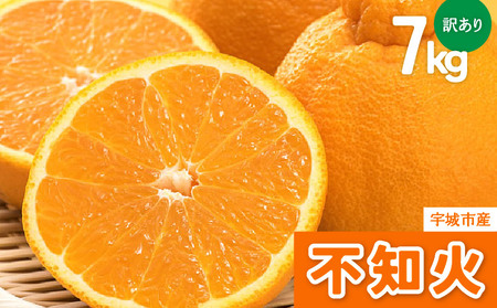先行予約 訳あり 不知火 7kg【2027年1月中旬-2027年4月下旬発送予定】 しらぬい 果物 フルーツ 規格外 不揃い