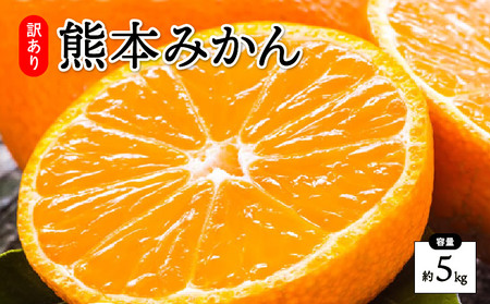 先行予約 訳あり みかん 5kg【2026年10月上旬～2027年2月中旬までに発送予定】柑橘 フルーツ 果物 くだもの 規格外 不揃い