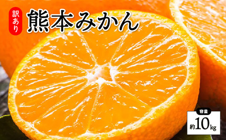 先行予約 訳あり みかん 10kg【2026年10月上旬～2027年2月中旬までに発送予定】柑橘 フルーツ 果物 くだもの 規格外 不揃い