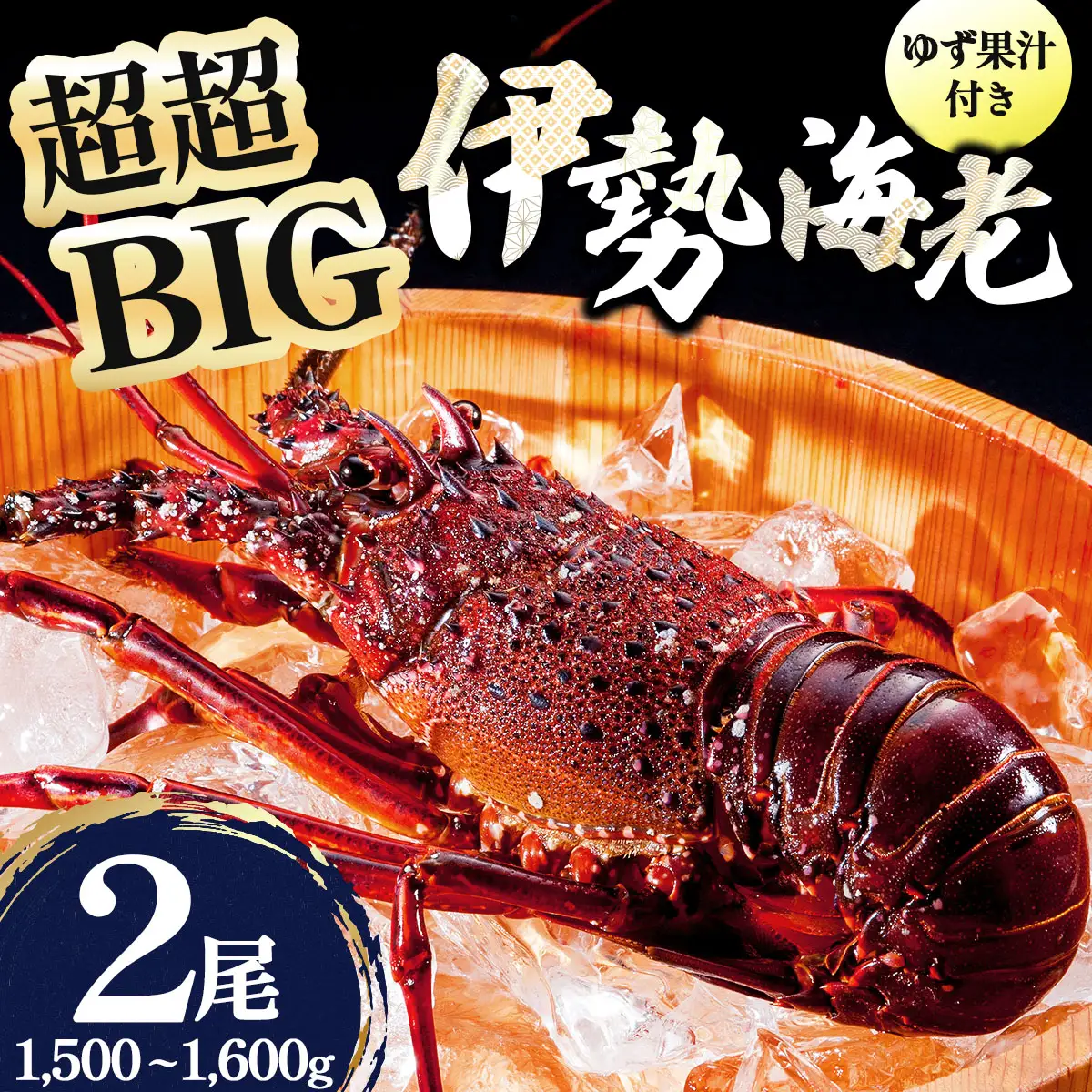1000尾に1尾レベル！超超BIG伊勢海老 2尾(1,500g～1,600g)