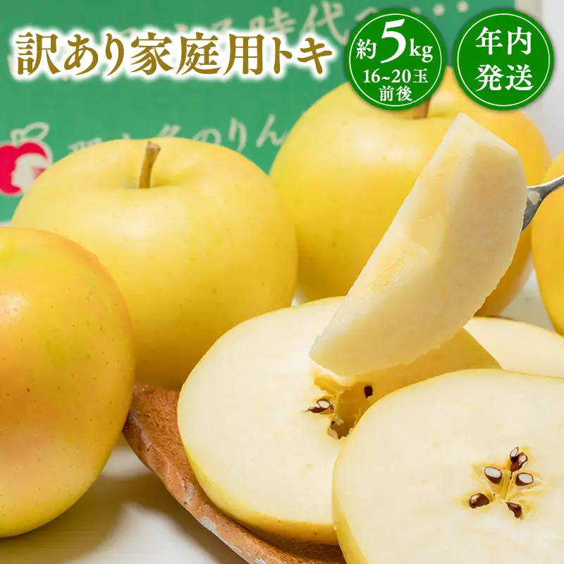 りんご 家庭用 トキ 約5kg 青森県平川市産 [hi-0005-008]