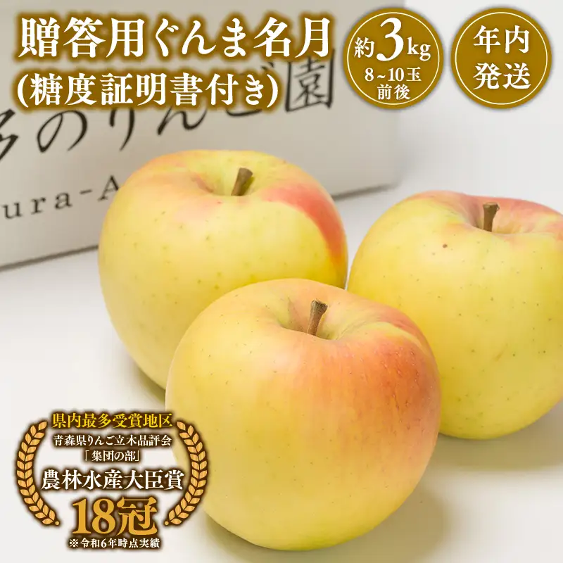 りんご 贈答用 ぐんま名月 約3kg [hi-0005-013]