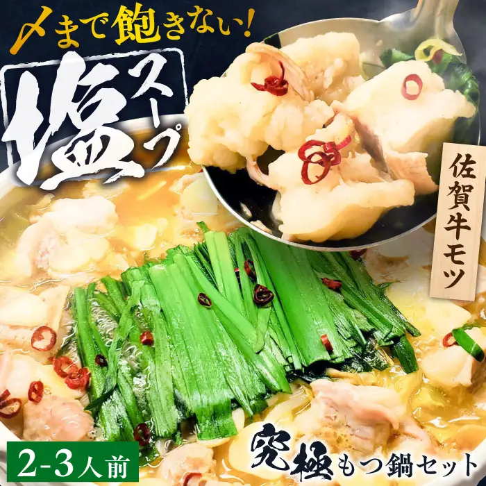 何度食べても飽きない美味しさ！こだわり 佐賀牛100% もつ鍋セット 500g(250g×2) 2~3人前 スープ・ちゃんぽん麺付 ホルモン 小腸 吉野ヶ里町/やきとり紋次郎[FCJ100]